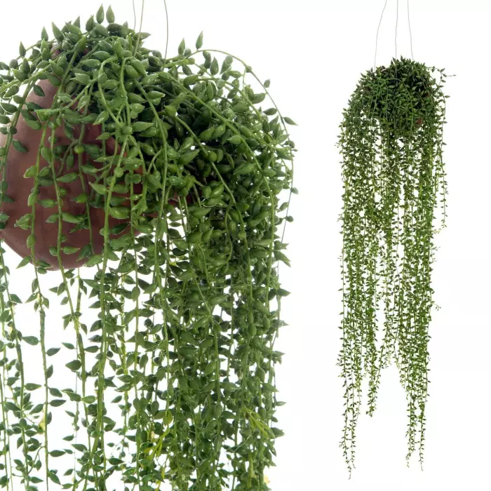 Plantas Colgantes Artificiales 