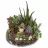 Planta crasa artificial aloe bush · Crasas y cactus artificiales · La Llimona home