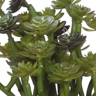 Planta crasa artificial echeveria verde con maceta. Crasas y cactus artificiales