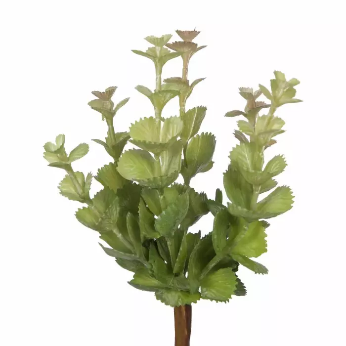 Planta suculenta artificial verde. Crasas y cactus artificiales