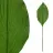 Hoja hosta artificial verde · Hojas y ramas artificiales · La Llimona home