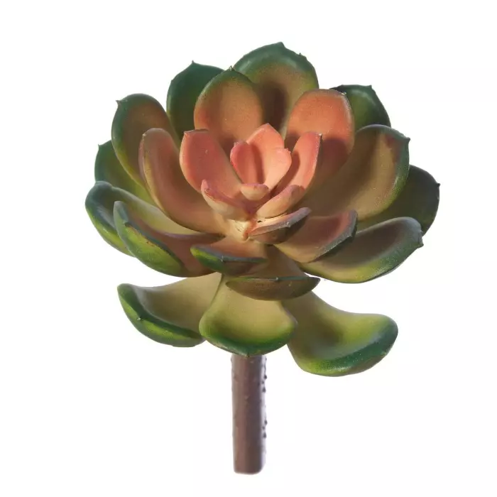 Echeveria crasa artificial bicolor 17 · Crasas y cactus artificiales · La Llimona home
