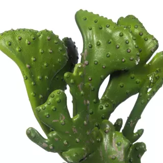 Opuntia crasa artificial verde 24 · Crasas y cactus artificiales · La Llimona home