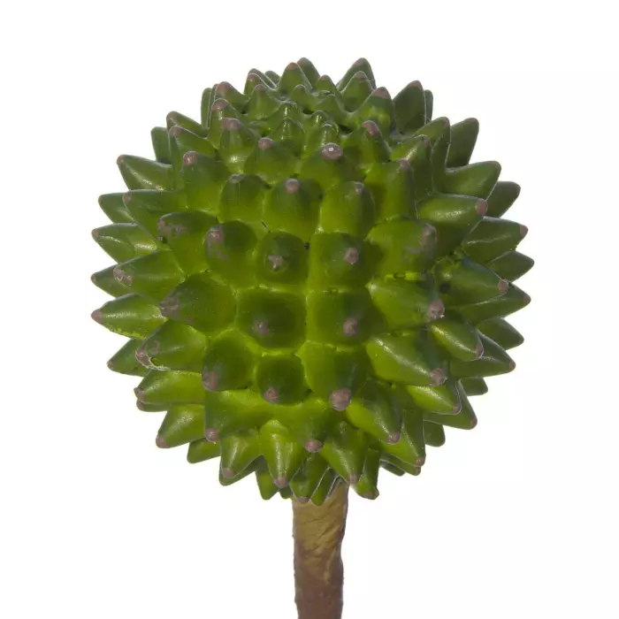 Esfera crasa artificial verde · Crasas y cactus artificiales · La Llimona home Esfera crasa artificial verde · Crasas y cactus artificiales · La Llimona home