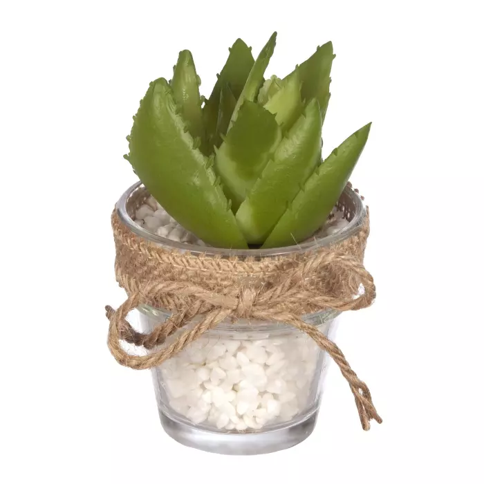 Cactus Echeveria artificial maceta cristal 12 · Planta artificiales · Crasas y cactus artificiales