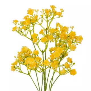 Gypsophila artificial amarilla 70 · La Llimona home