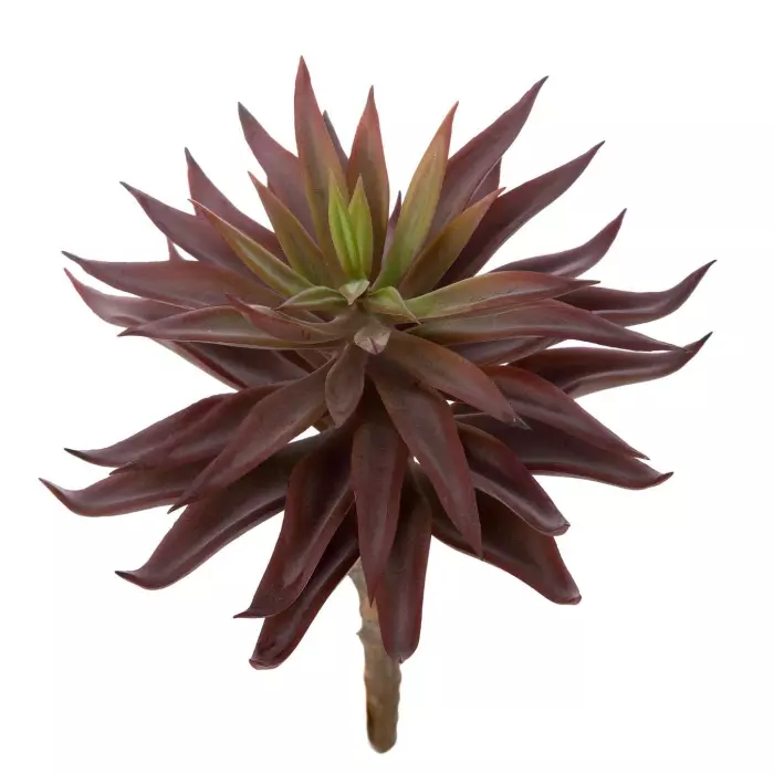 Echeveria walpoleana artificial berenjena 15 · Crasas y cactus artificiales Echeveria walpoleana artificial berenjena 15 · Crasas y cactus artificiales