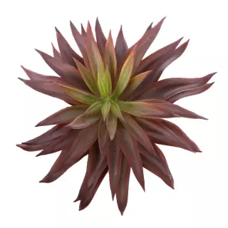 Echeveria walpoleana artificial berenjena 15 · Crasas y cactus artificiales · La La Llimona home