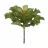 Echeveria Gibbiflora artificial verde 10 · Crasas y cactus artificiales · La Llimona home