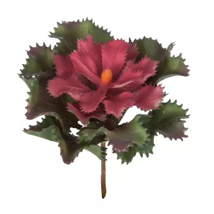 Echeveria Gibbiflora artificial bicolor 10 · Crasas y cactus artificiales