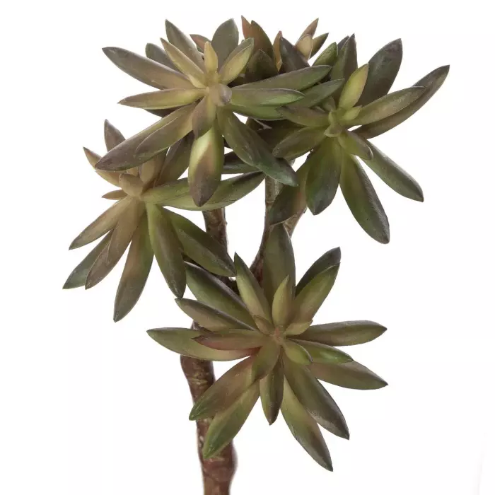 Sedum artificial verde 21 · Crasas y cactus artificiales · La Llimona Sedum artificial verde 21 · Crasas y cactus artificiales · La Llimona