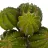 Echonocactus grussoni artificial verde 15 · Crasas y cactus artificiales · La Llimona