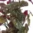 Planta begonia artificial 100 maceta. Plantas artificiales decorativas