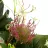 Ramo rosas cabbage y proteas artificiales cereza 53 · Funerario · Ramos flores artificiales
