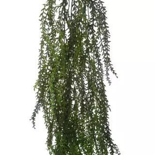 Aeonium colgante artificial verde 100 · Plantas colgantes artificiales · La Llimona home