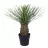 Yucca artificial Gedgehog maceta 65 · Plantas artificiales decorativas · La Llimona home