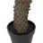Yucca artificial Gedgehog maceta 110 · Plantas artificiales decorativas · La Llimona home