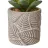 Cactus artificial maceta cemento 11 · Crasas y cactus artificiales · La Llimona home