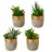Cactus artificial maceta cemento dorado 14 · Crasas y cactus artificiales · La Llimona home