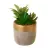 Cactus artificial maceta cemento dorado 14 · Crasas y cactus artificiales · La Llimona home