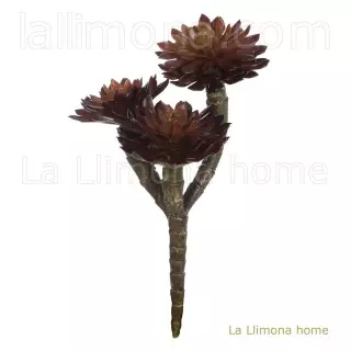 Planta crasa artificial mini echeveria peacockii burdeos 17 · Crasas y cactus artificiales · La Llimona home