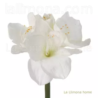 Flor amaryllis artificial blanca 83 · Flores artificiales · La Llimona home